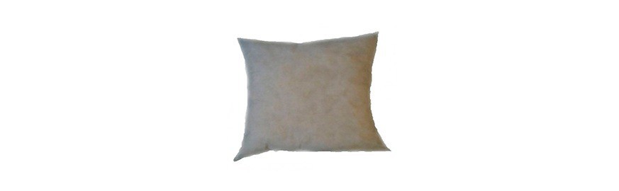 Throw pillows inserts
